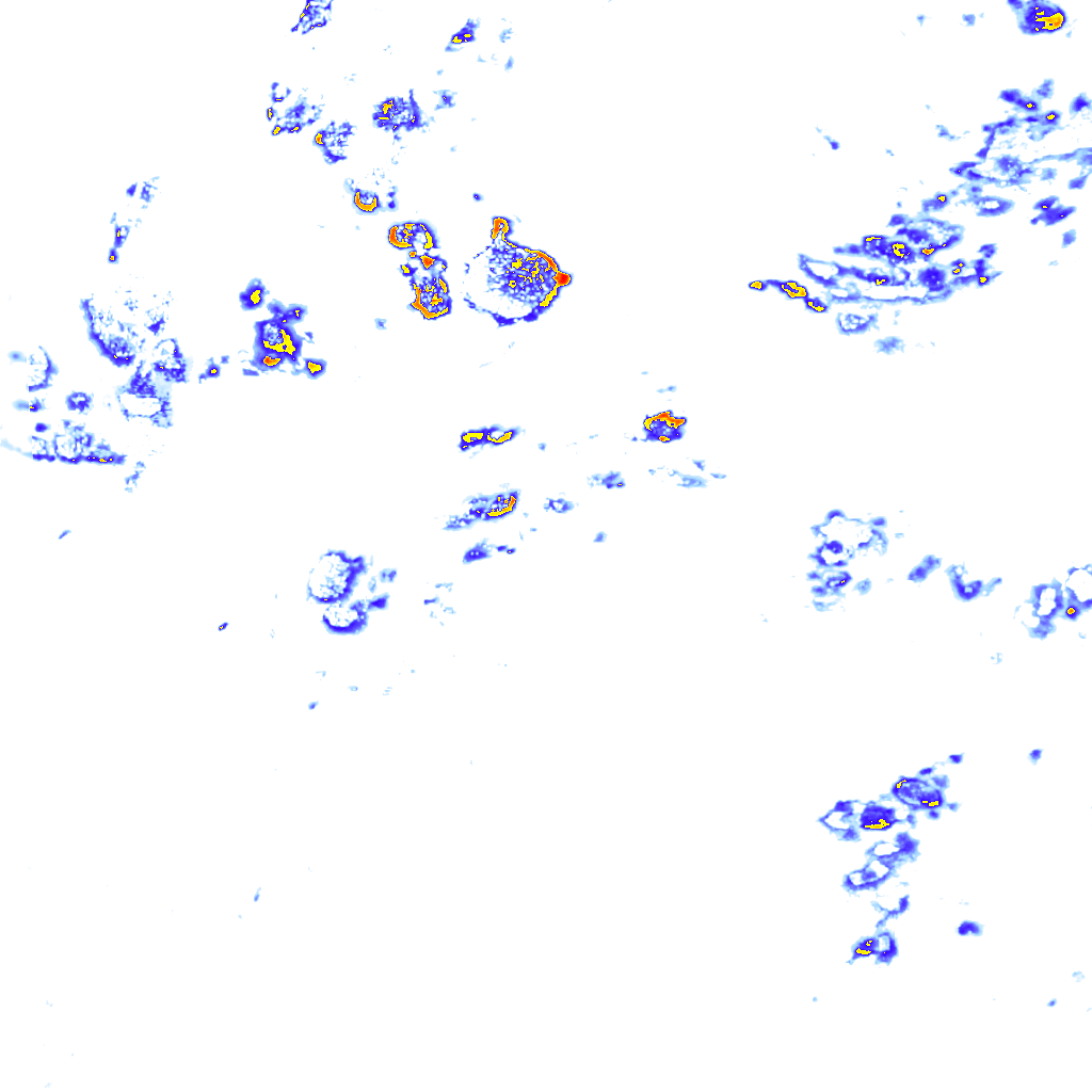 Image Layer