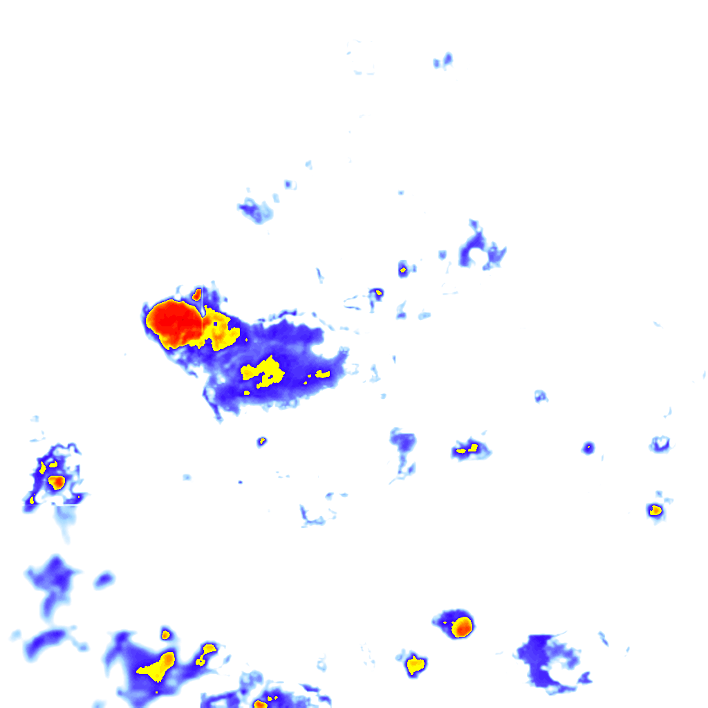 rainLayer
