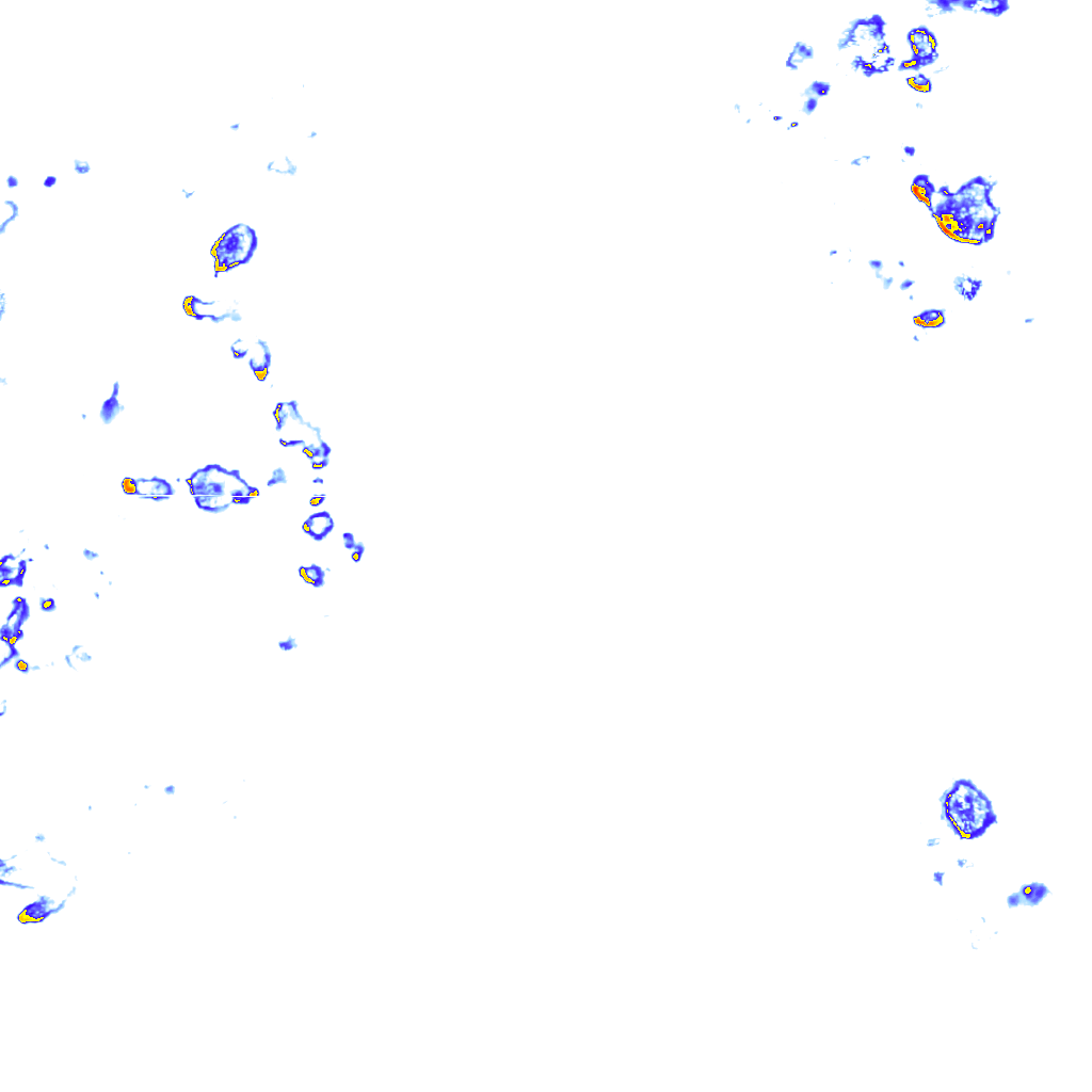 rainLayer