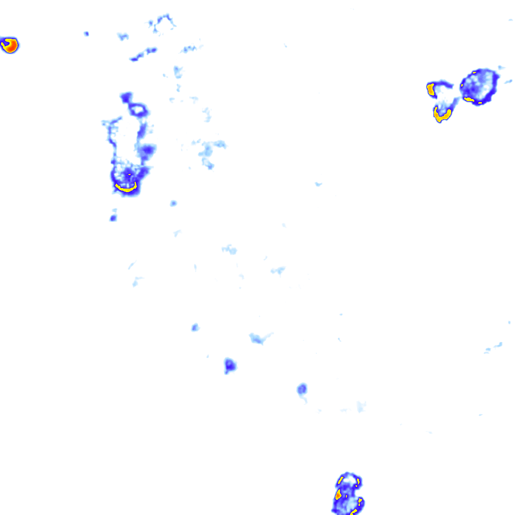 rainLayer