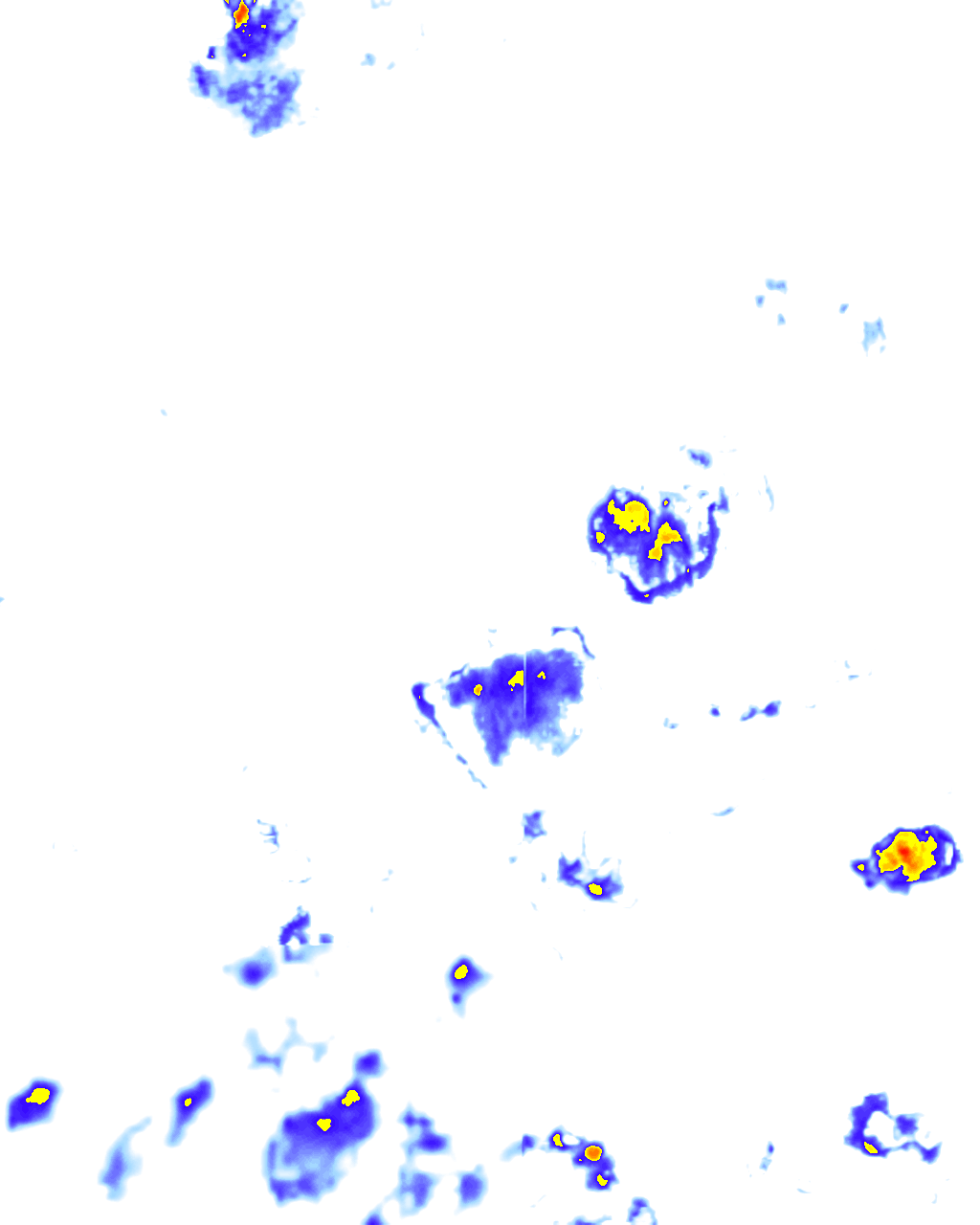 rainLayer