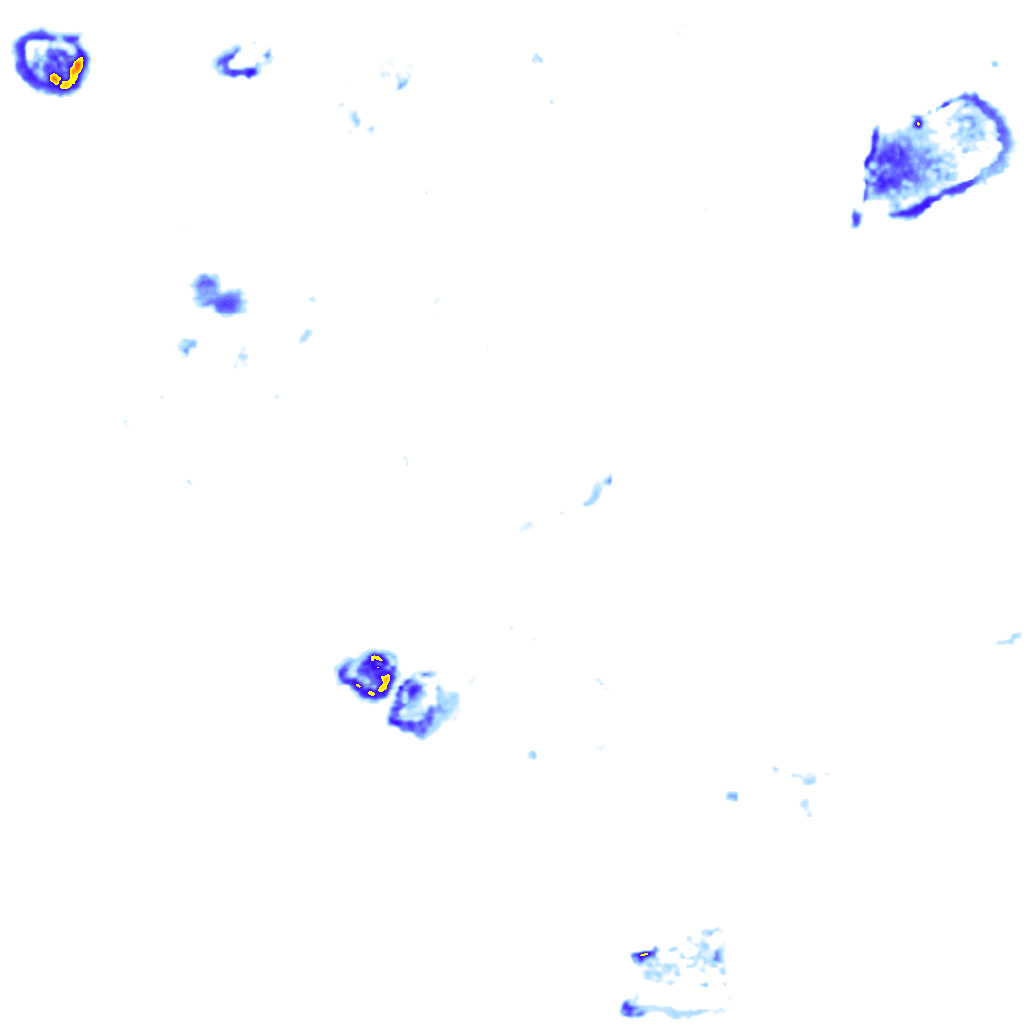 rainLayer