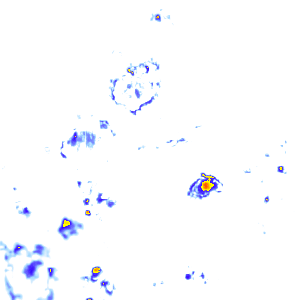 rainLayer