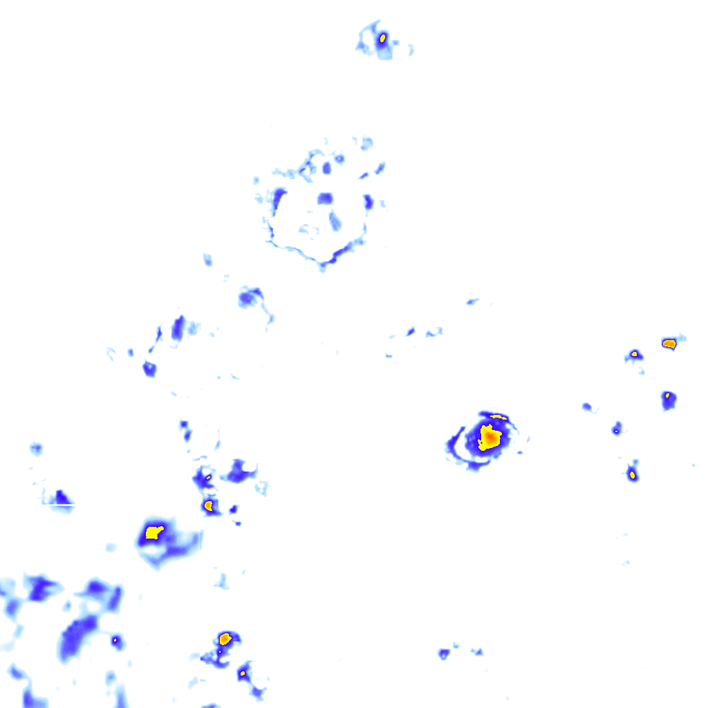 Image Layer