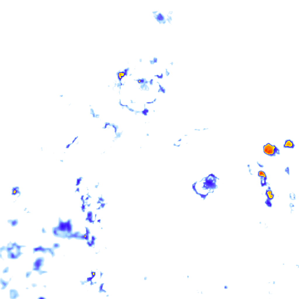 rainLayer
