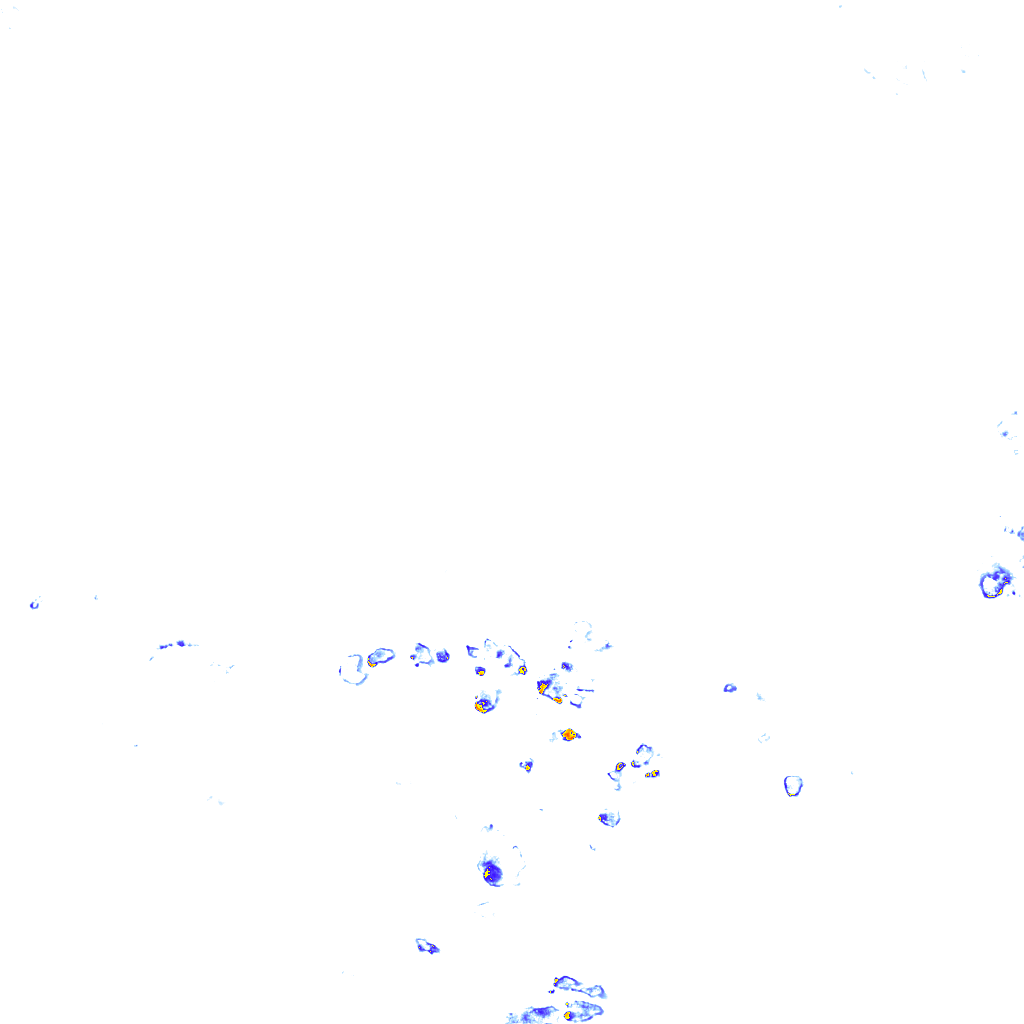 rainLayer