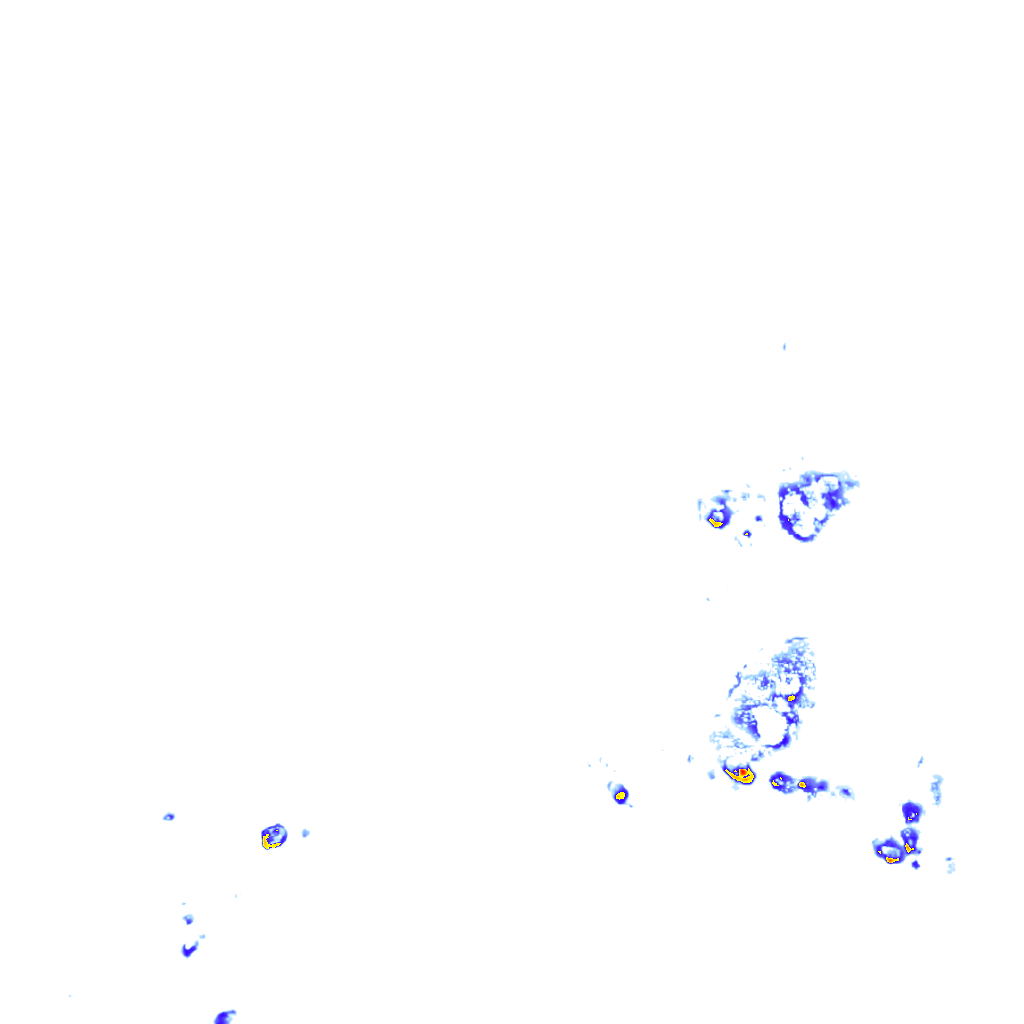 rainLayer