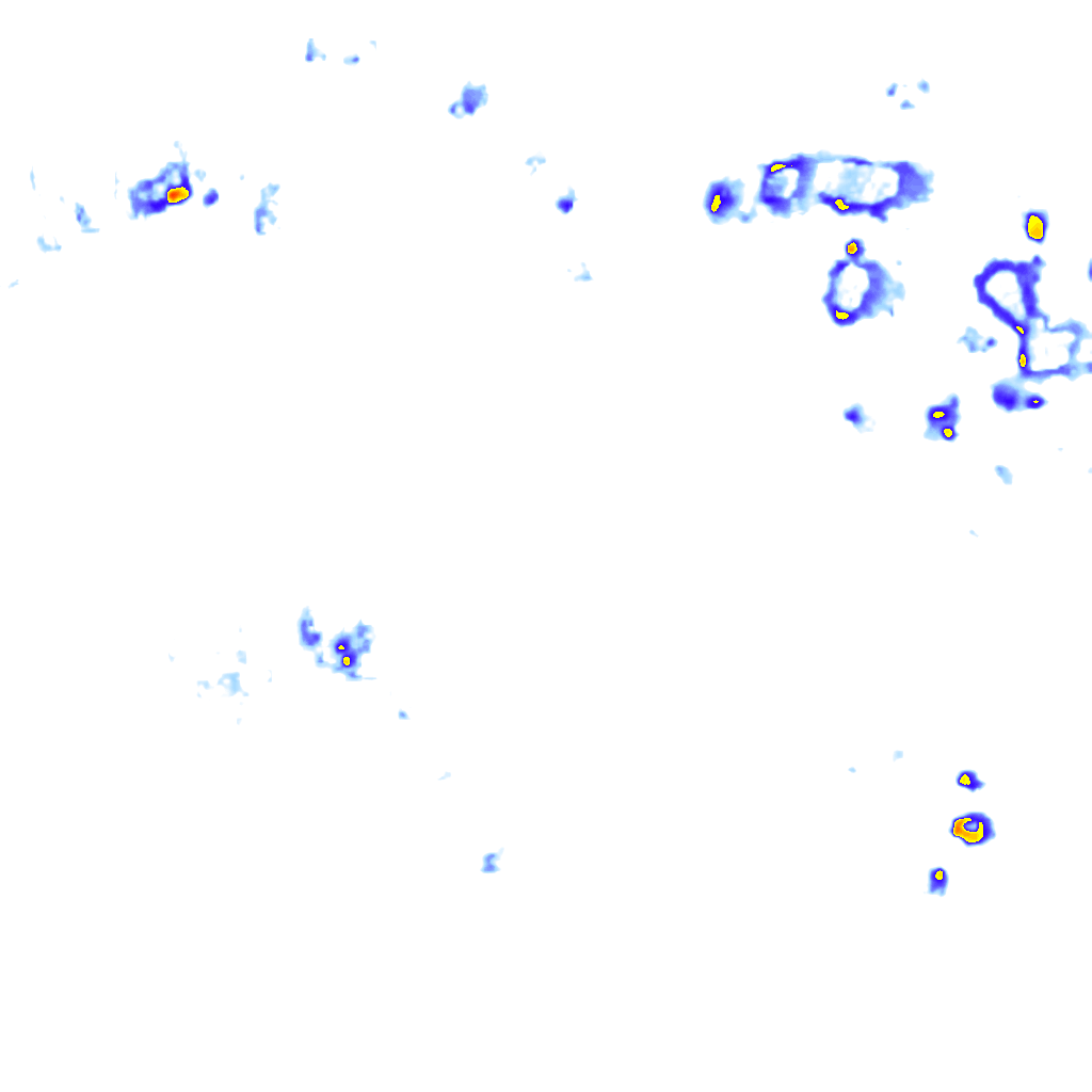 Image Layer