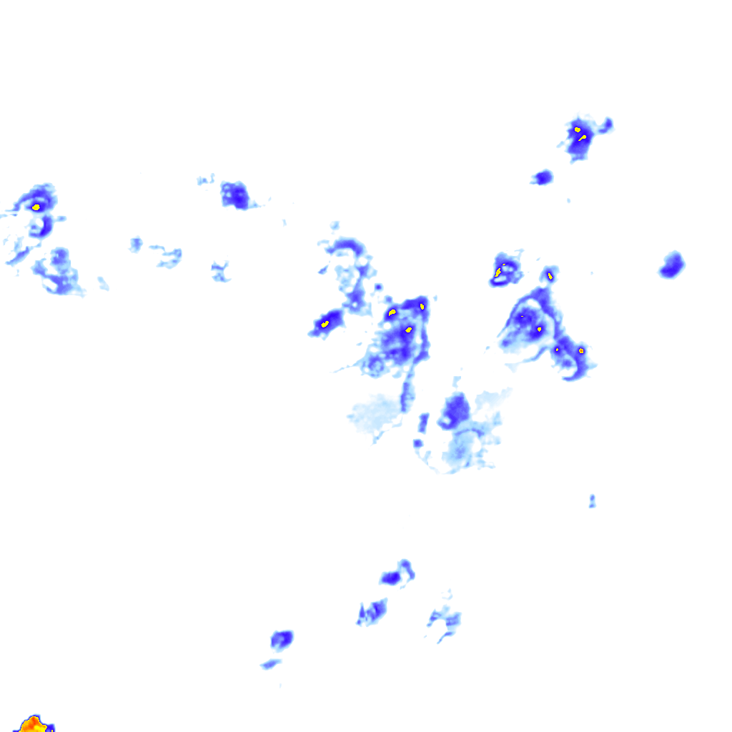 Image Layer