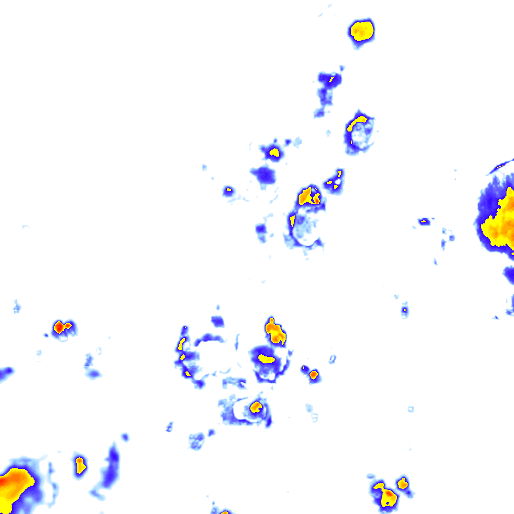rainLayer