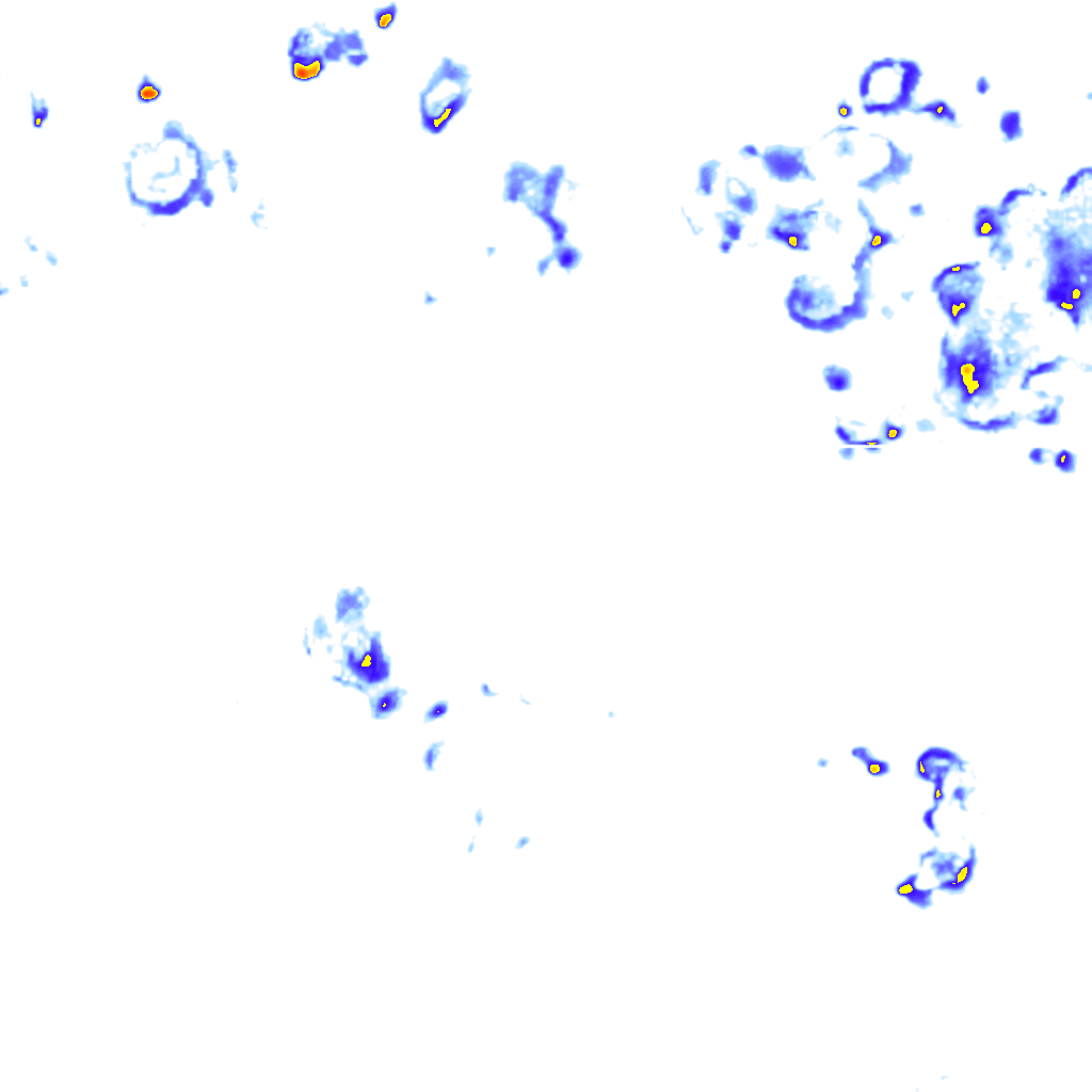 Image Layer