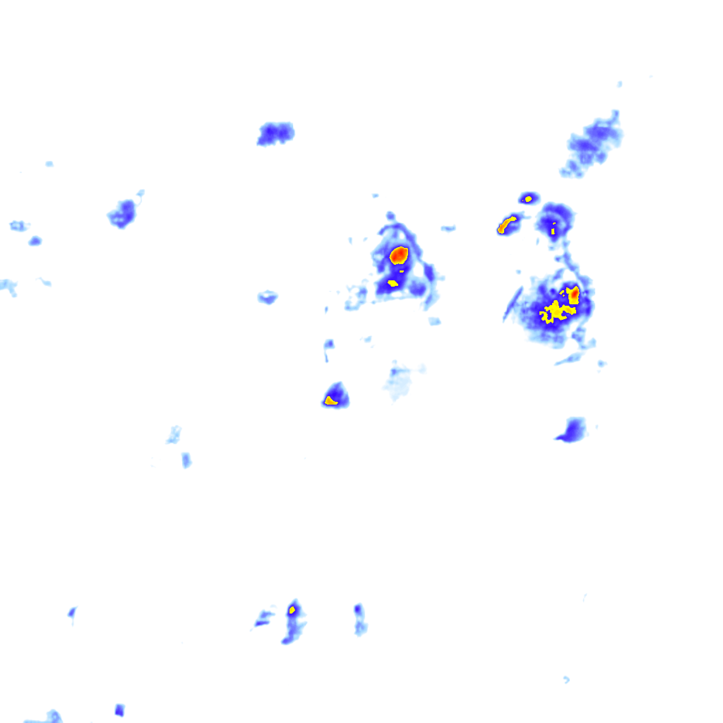 rainLayer
