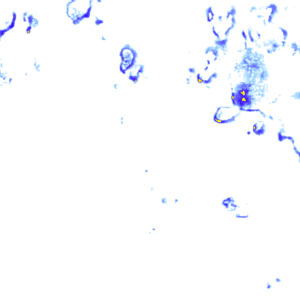 rainLayer