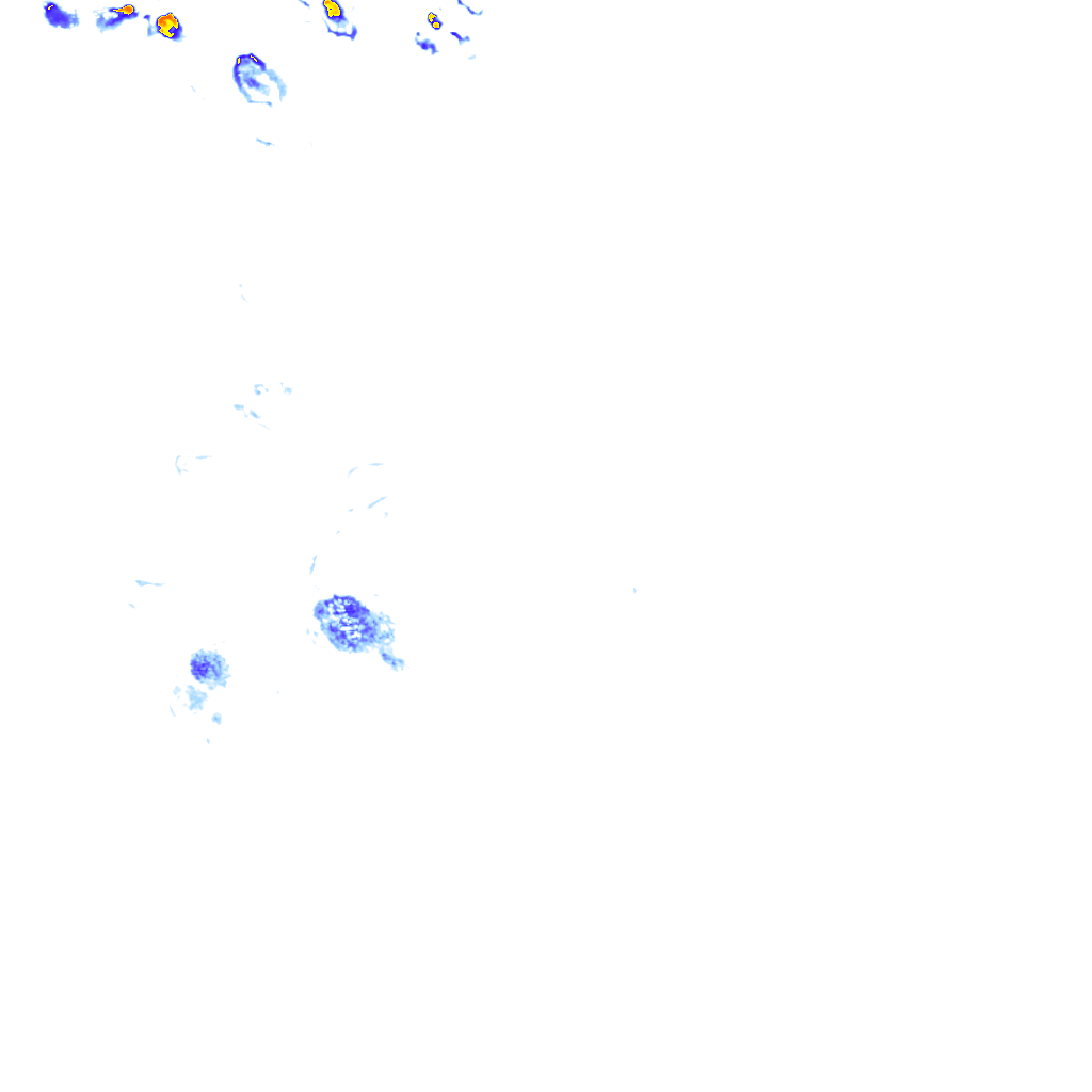 rainLayer