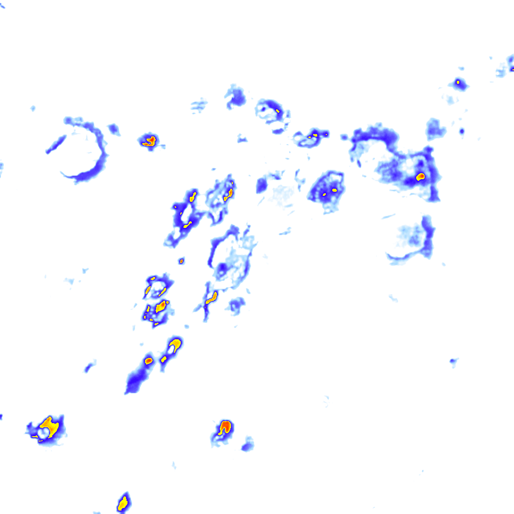 rainLayer