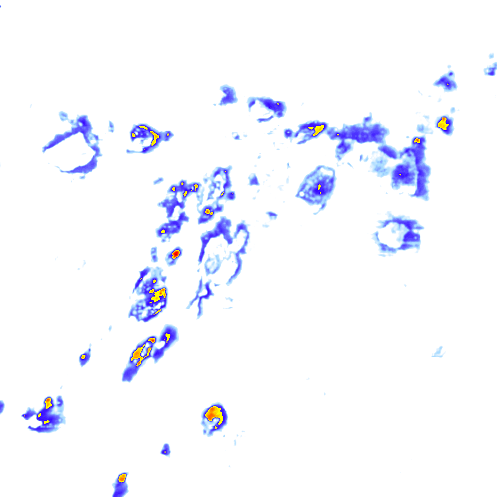 rainLayer