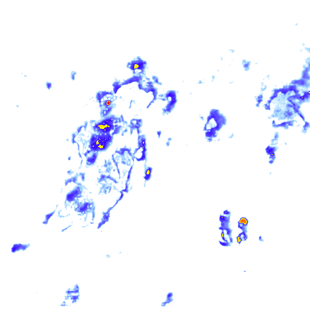rainLayer