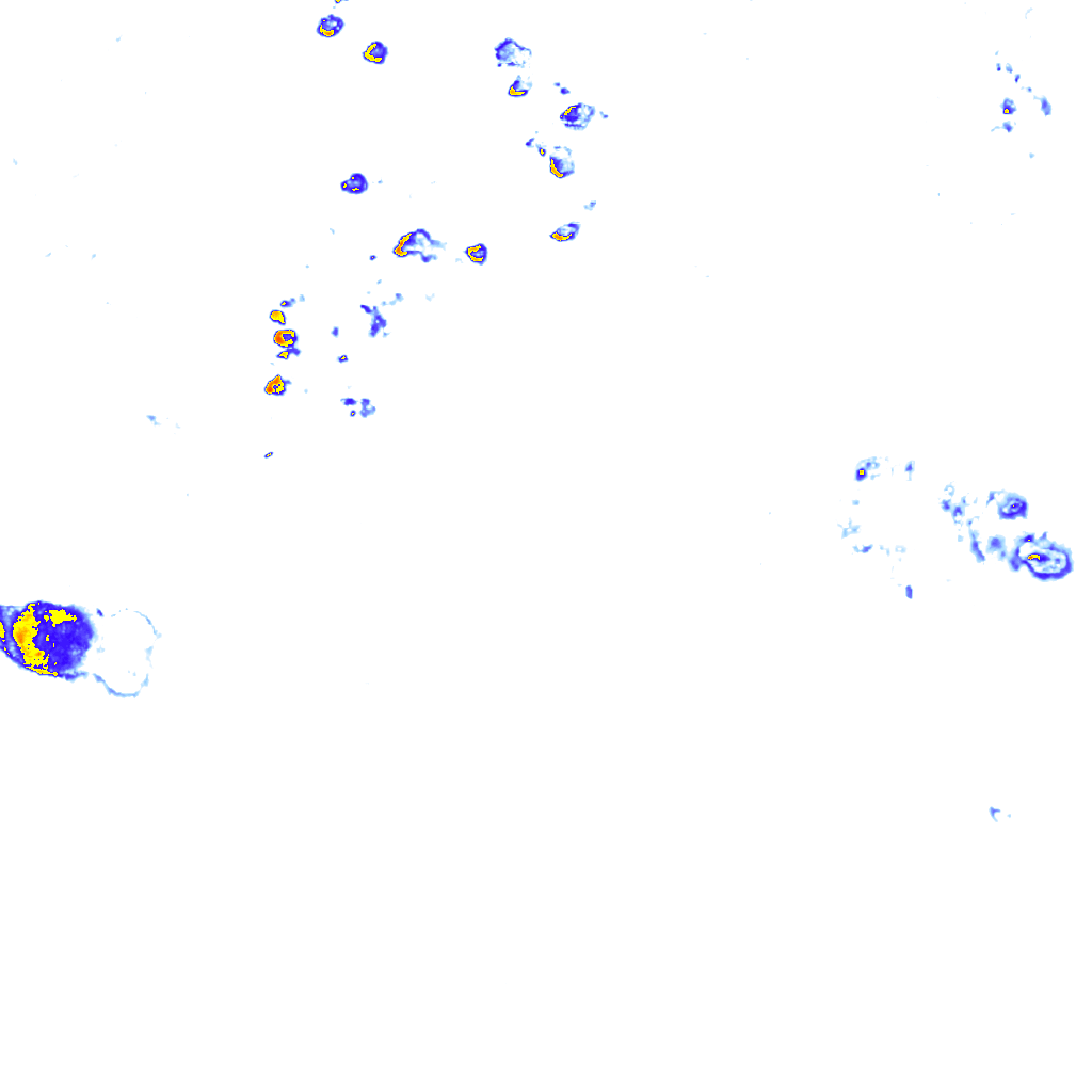 rainLayer