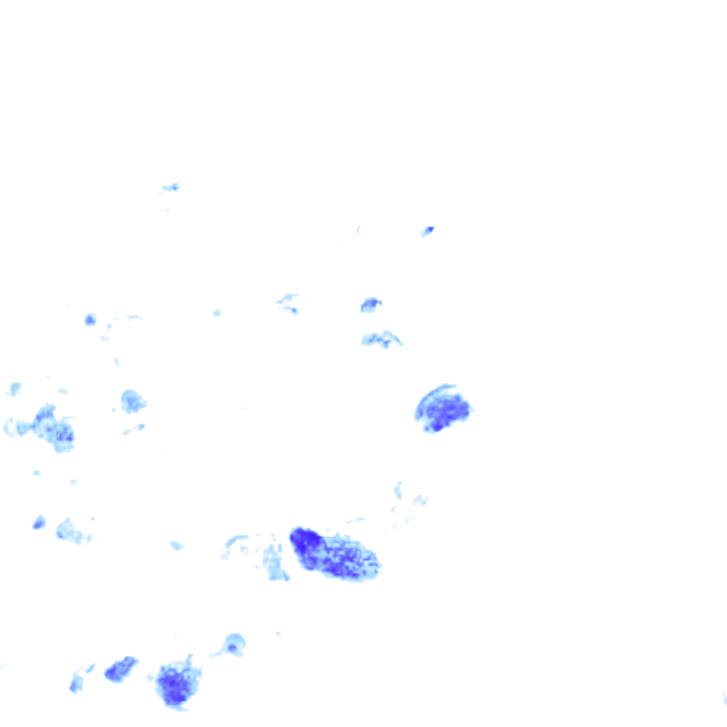 rainLayer
