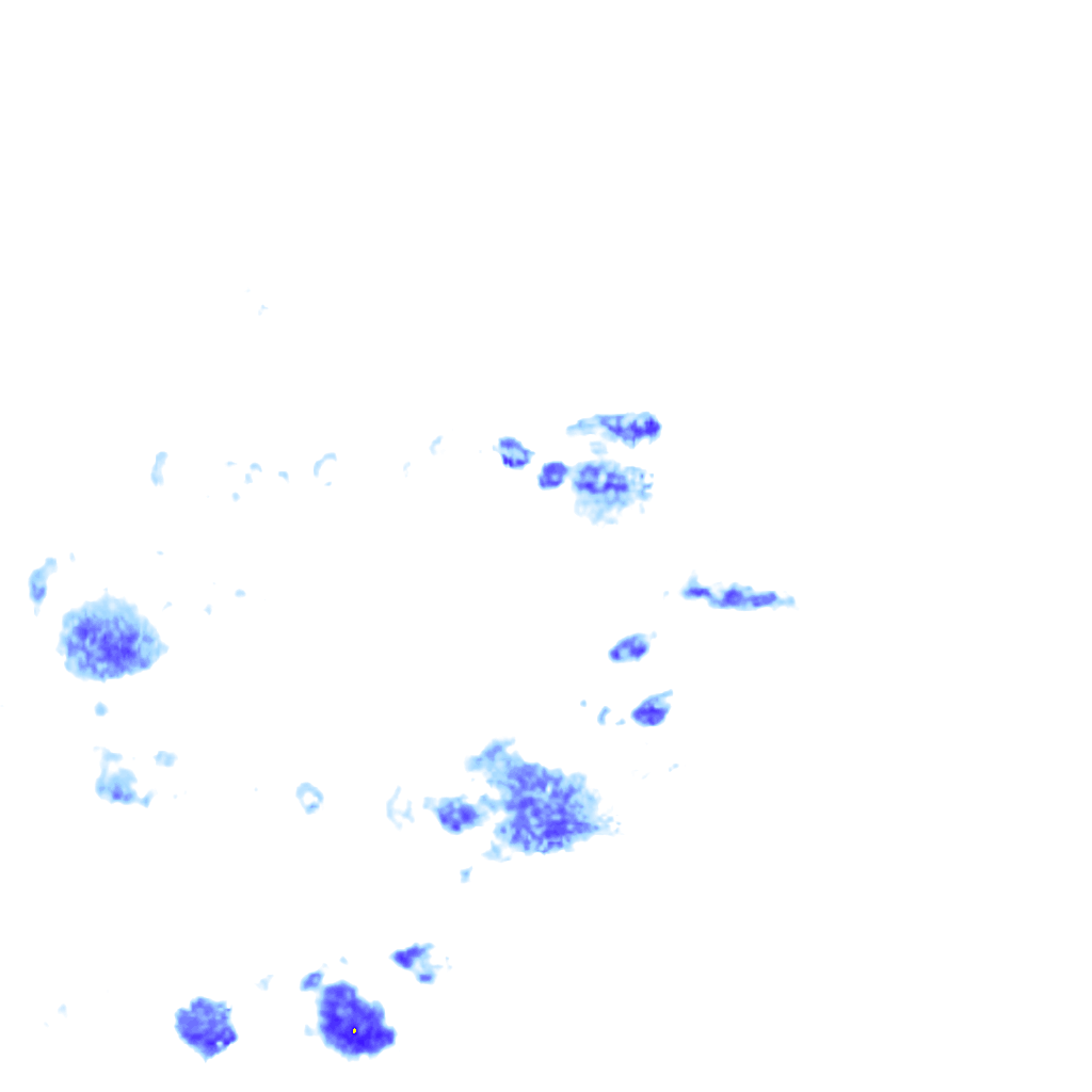 rainLayer