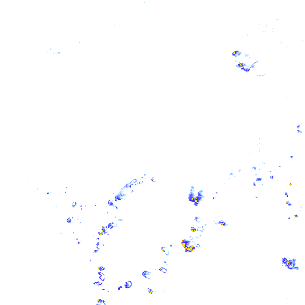 rainLayer