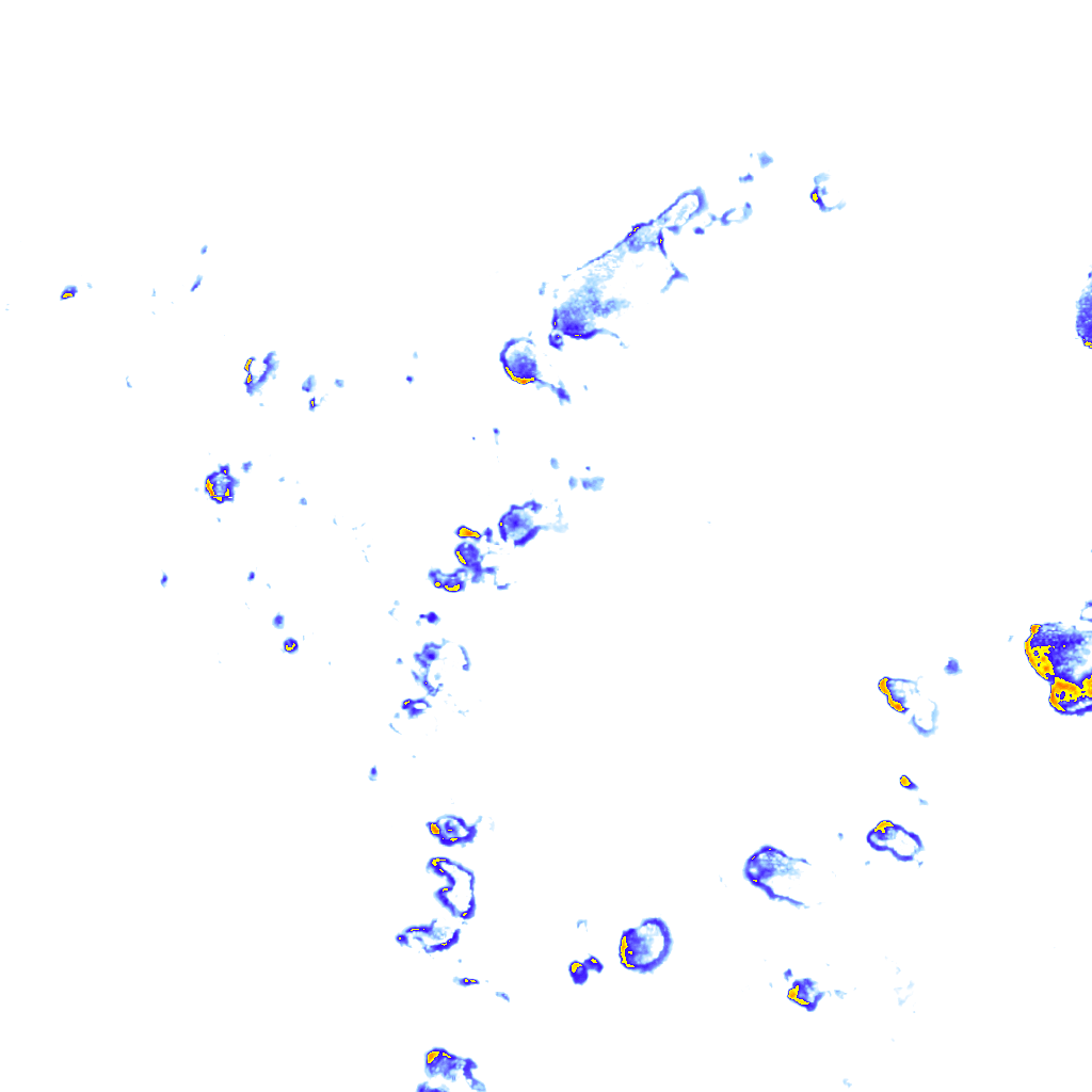 rainLayer