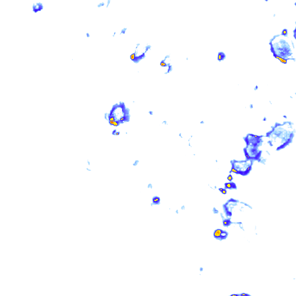 Image Layer
