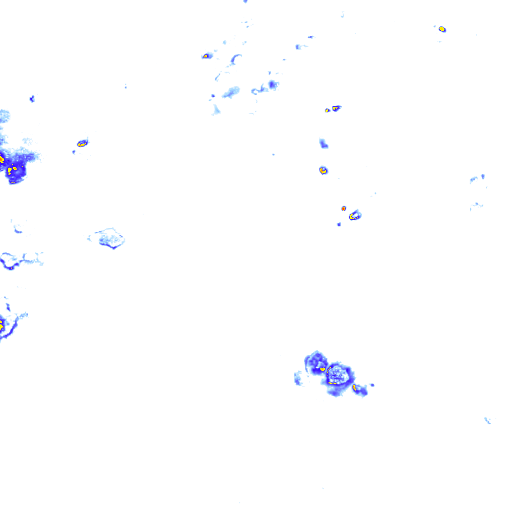 rainLayer