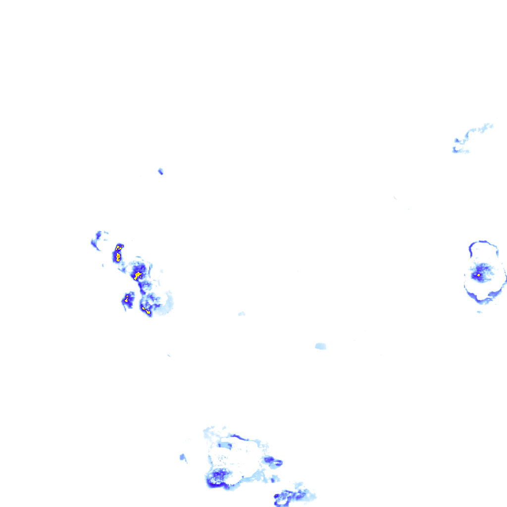 rainLayer
