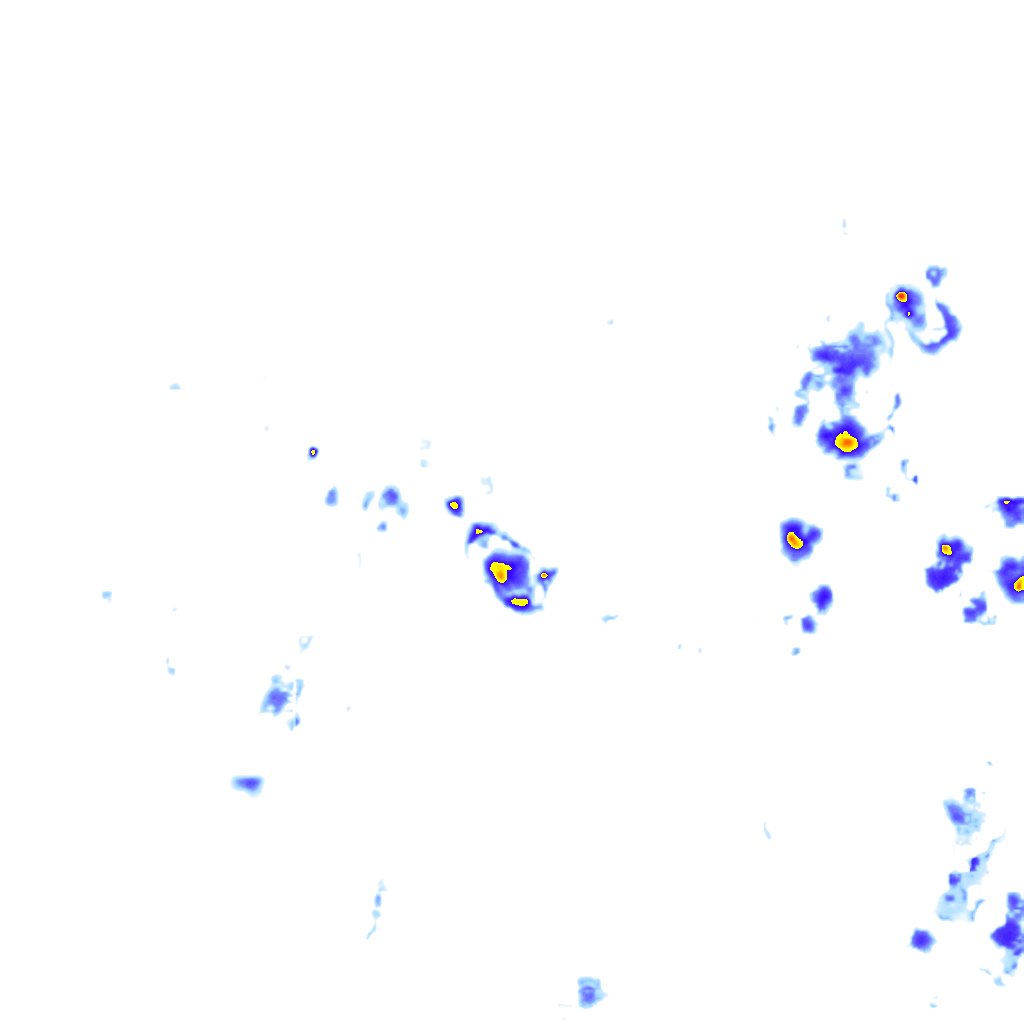 rainLayer