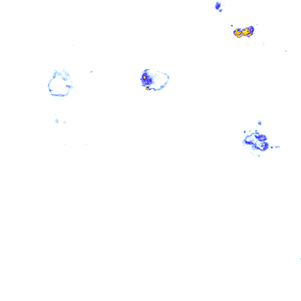 Image Layer
