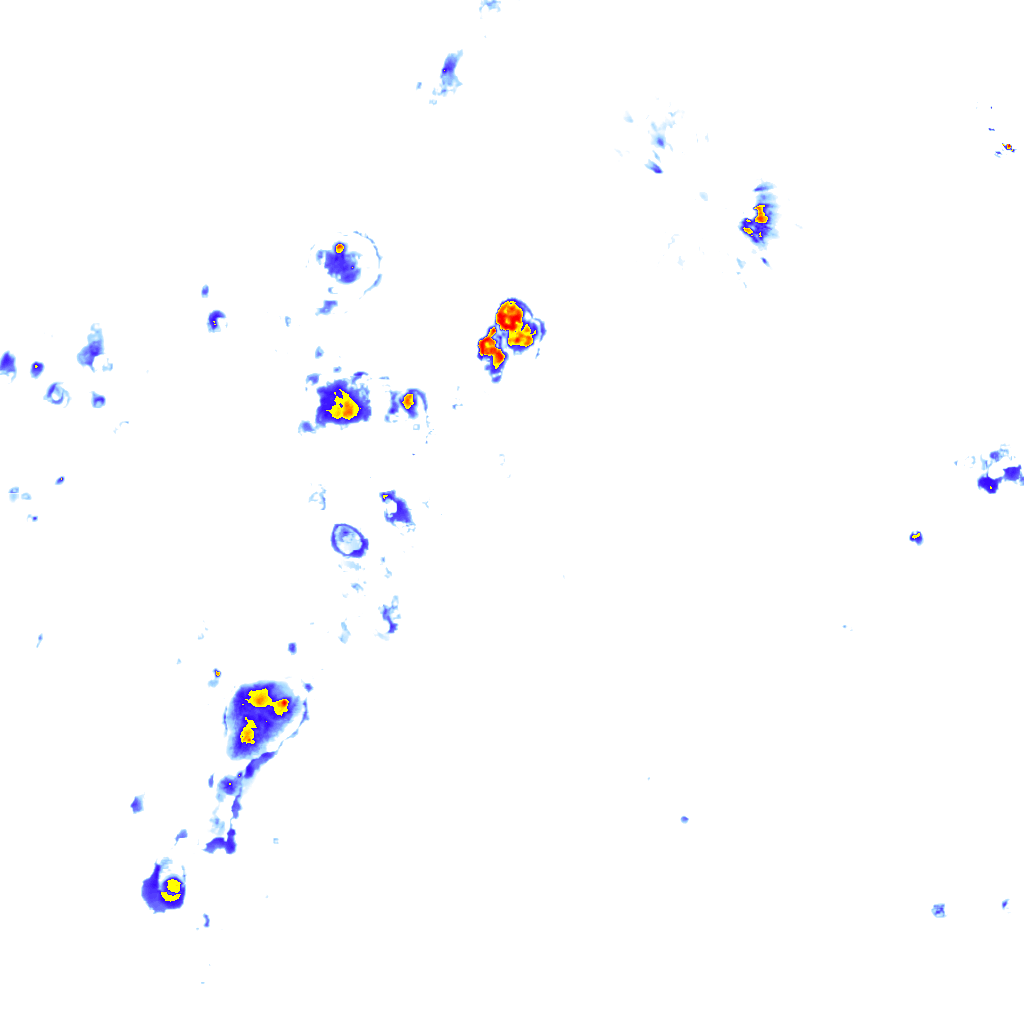 rainLayer