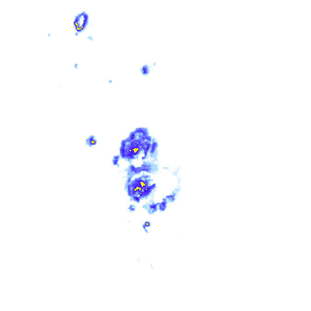 Image Layer