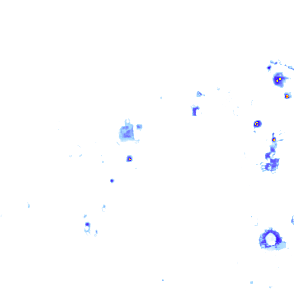 Image Layer