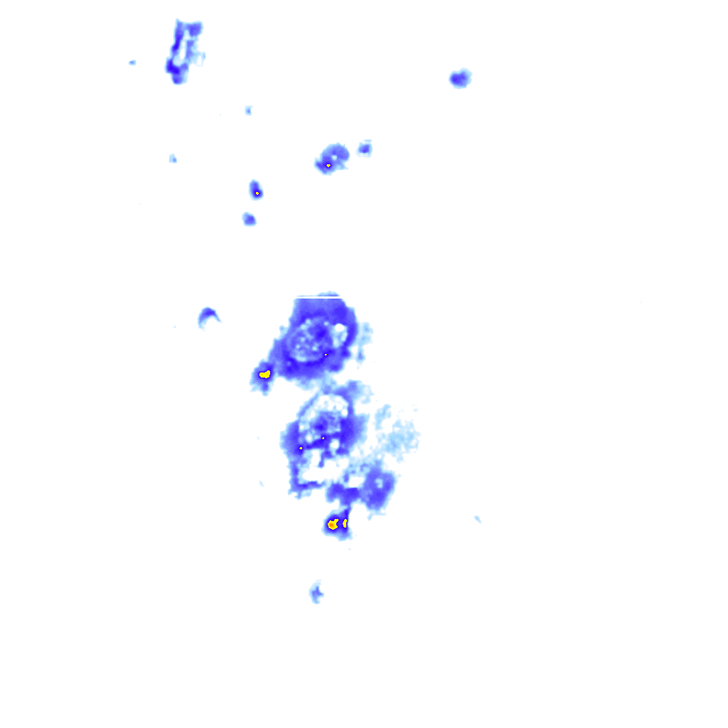 rainLayer