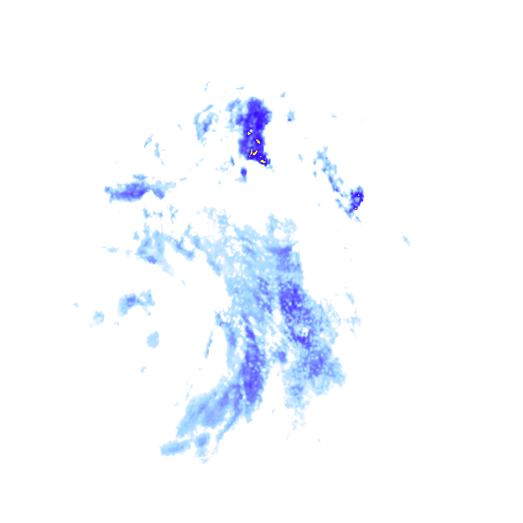 rainLayer