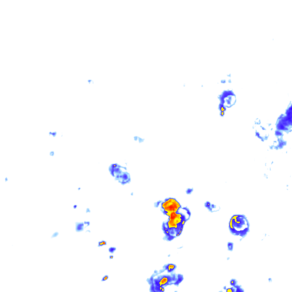 Image Layer