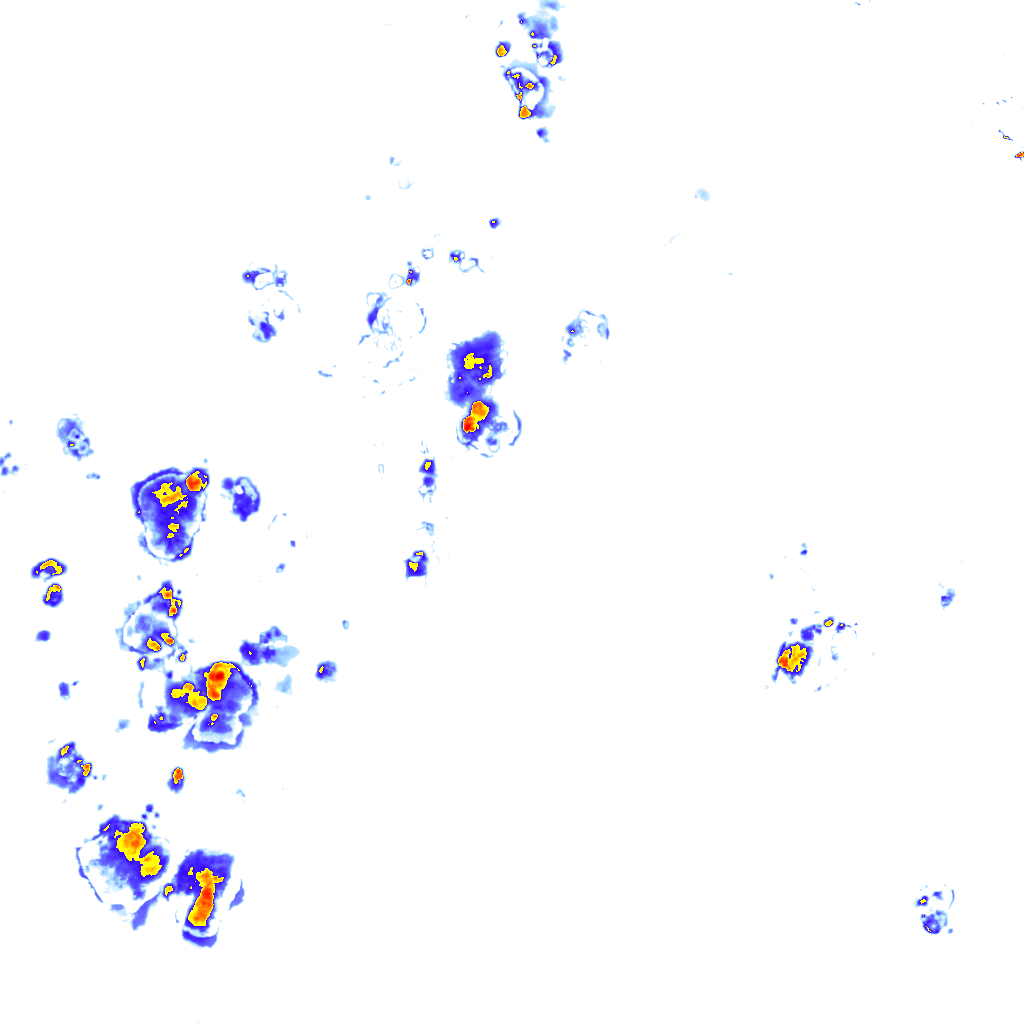 Image Layer