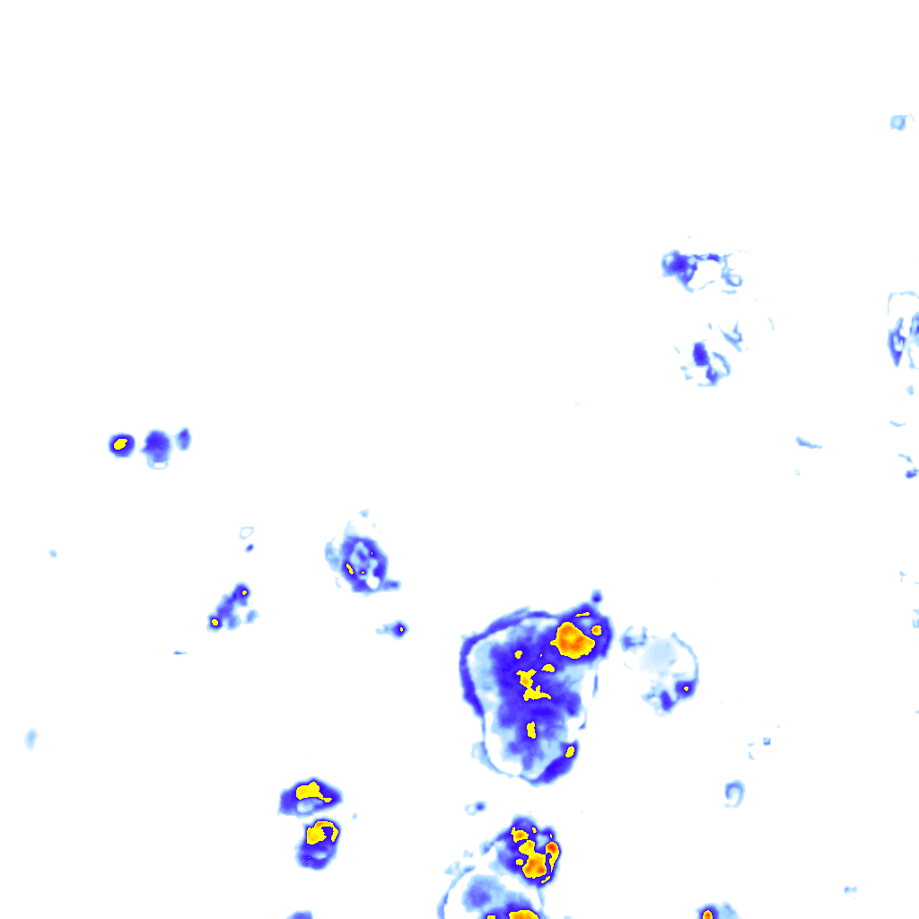 Image Layer