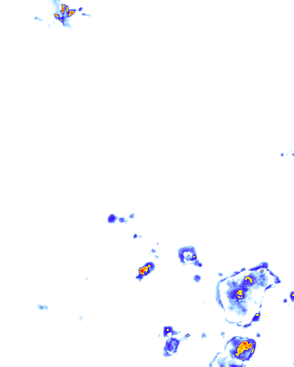 rainLayer