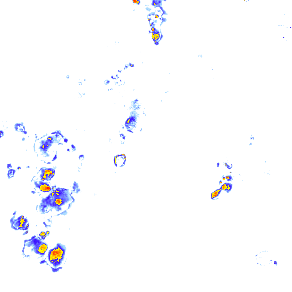 rainLayer
