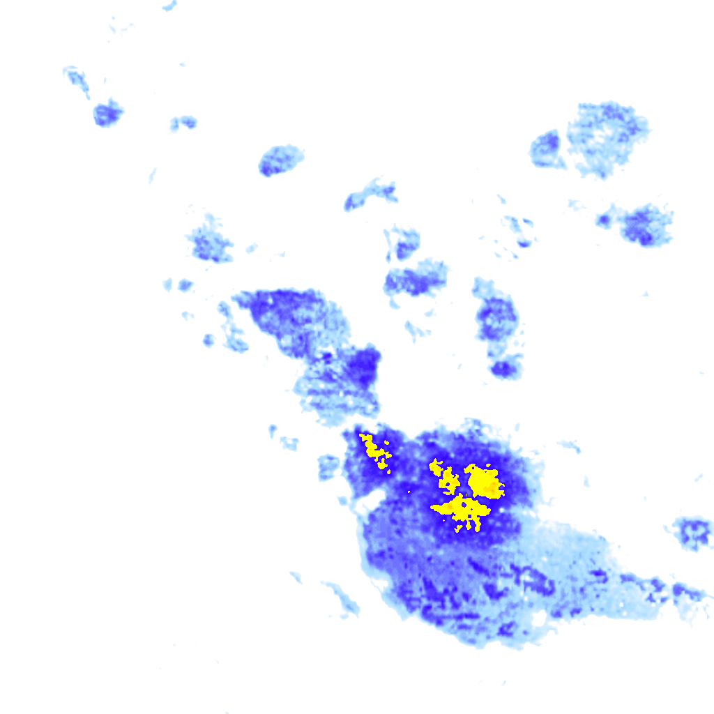 rainLayer