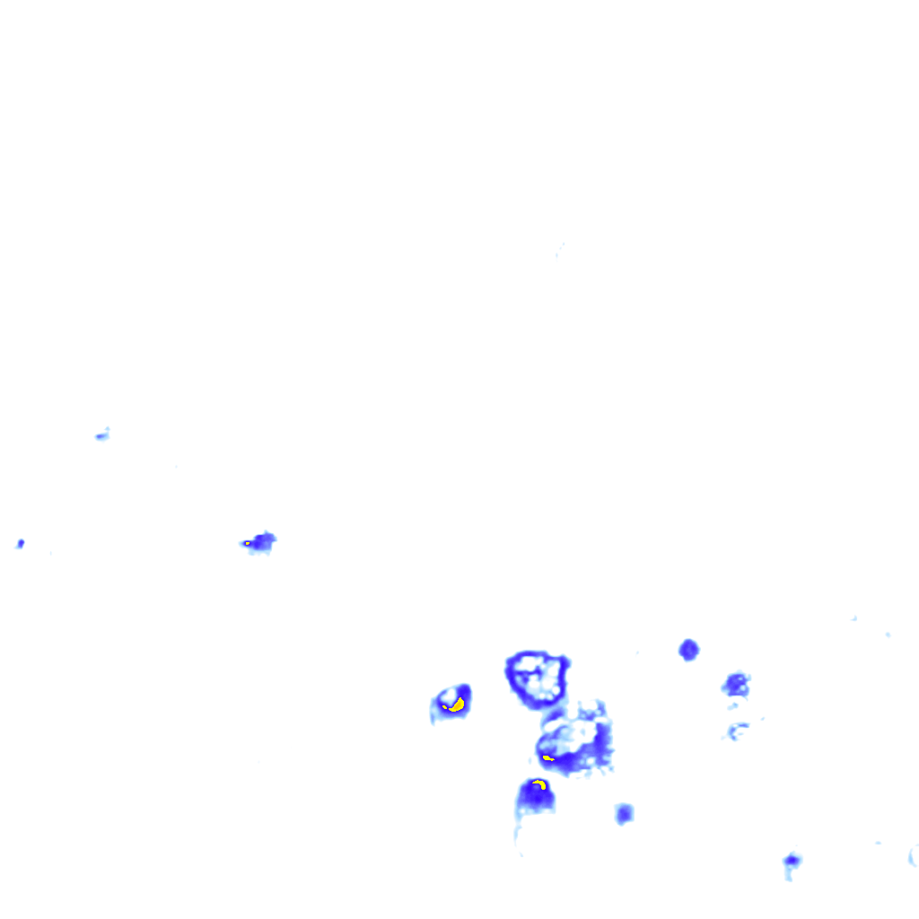 rainLayer