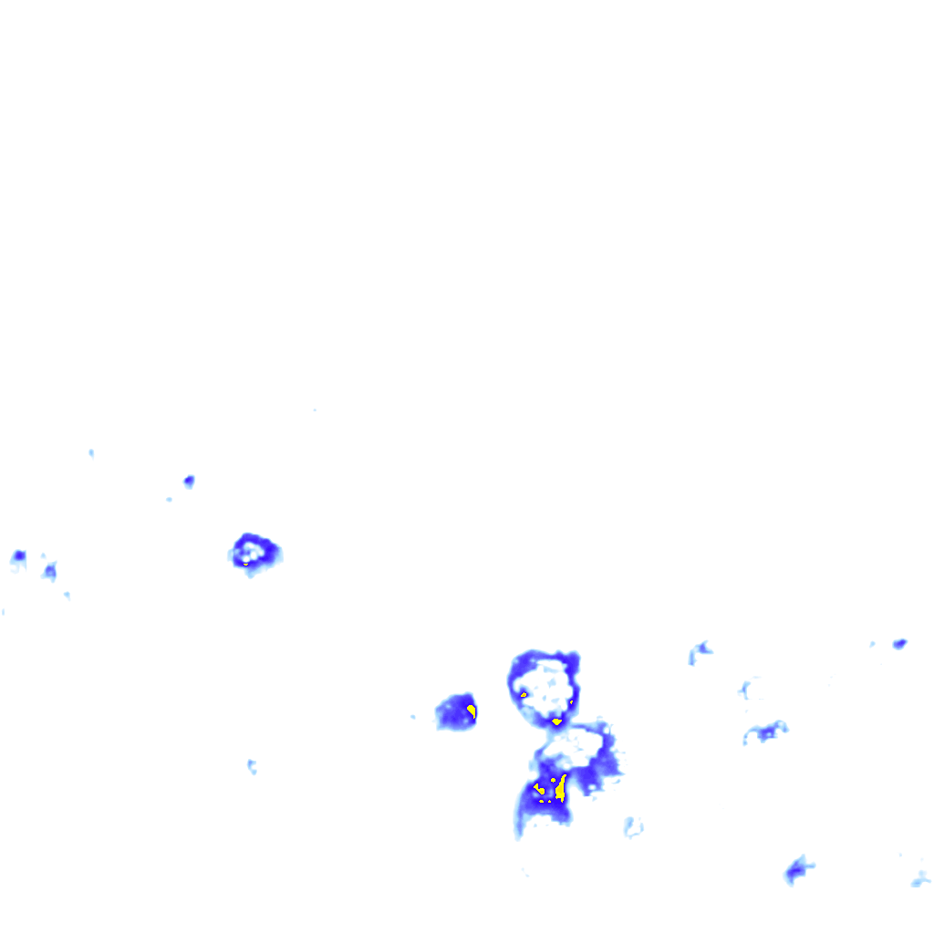 rainLayer