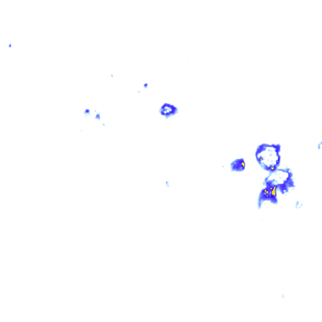 rainLayer