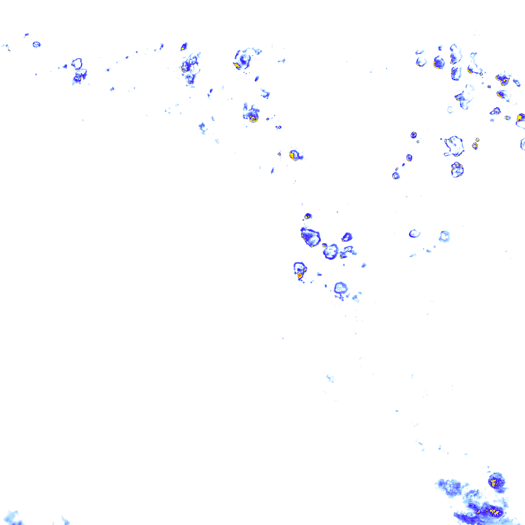 rainLayer
