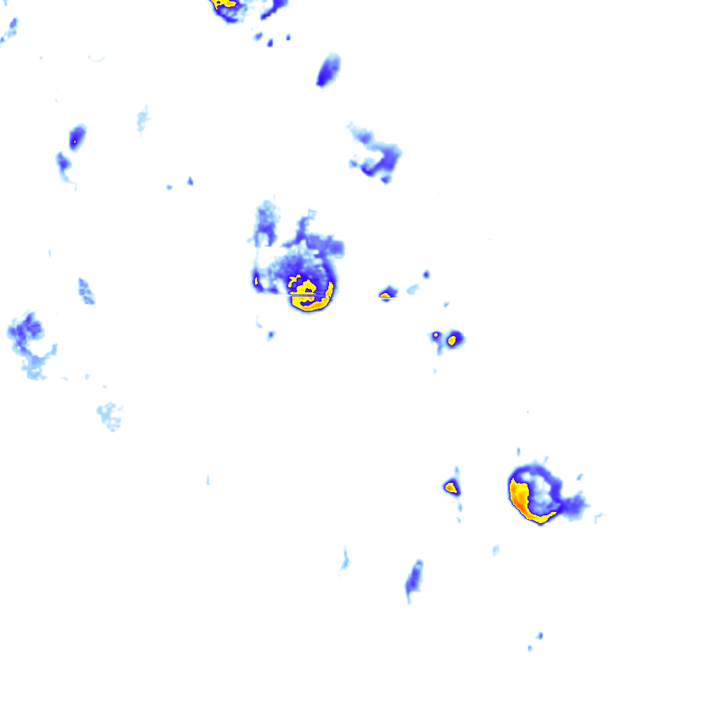 rainLayer