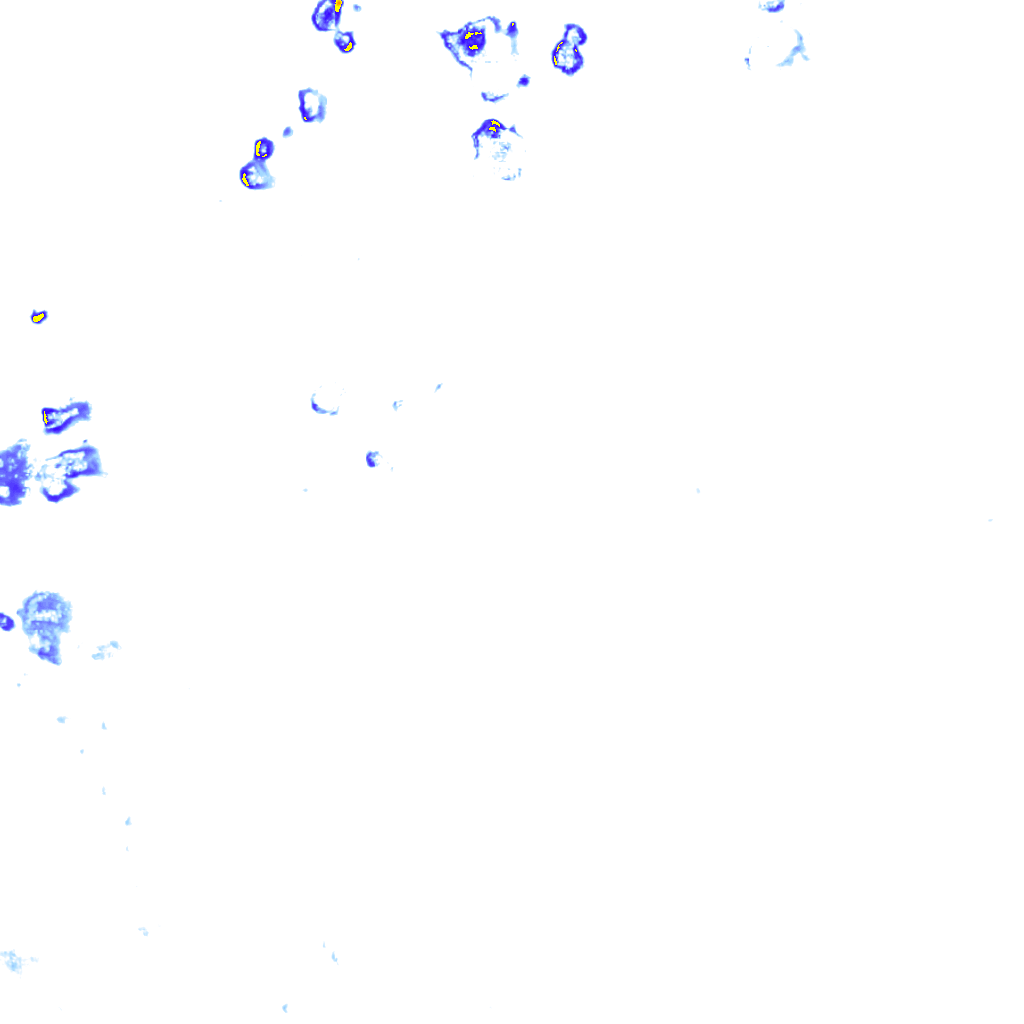 rainLayer