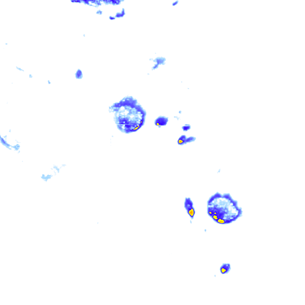 Image Layer