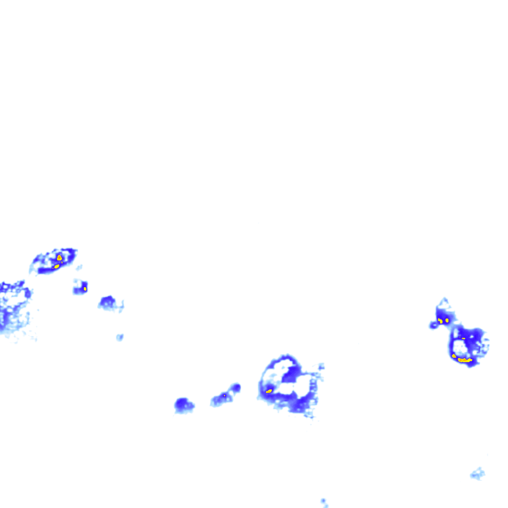 rainLayer